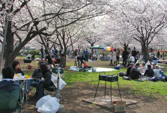 桜のBBQ