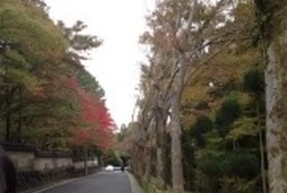 景色が開けてきます