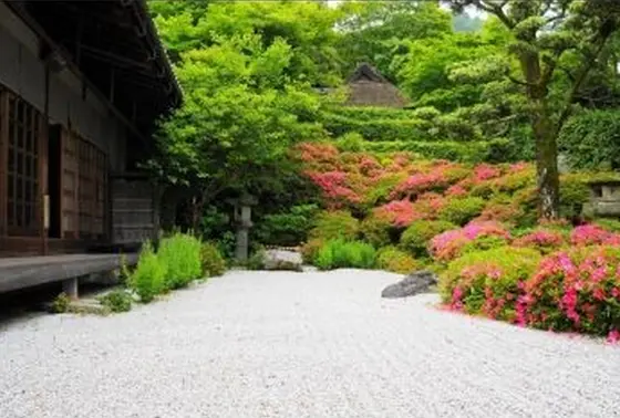 紅葉が美しい枯山水の庭園