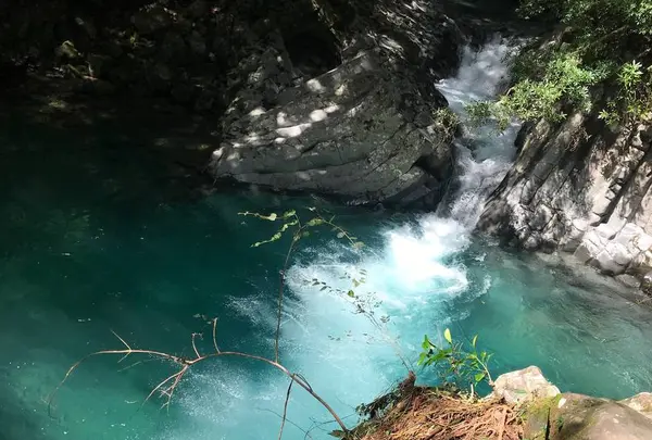 河津七滝の写真・動画_image_310922