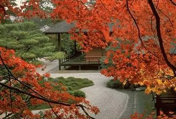 曼殊院門跡