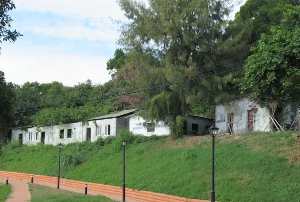通霄神社の写真・動画_image_562096