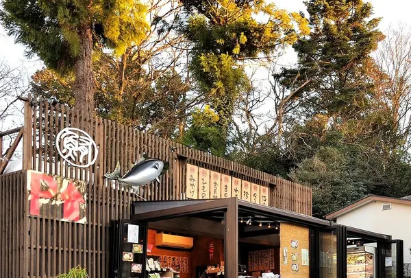 鮪と地魚の和食処　本家鮪屋の写真・動画_image_102101