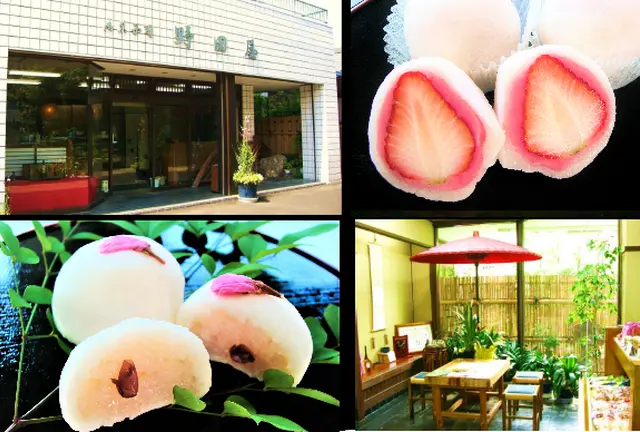 野田屋菓子舗