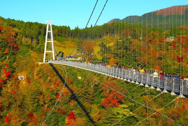 九重“夢”大吊橋