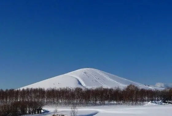 2015年の予定