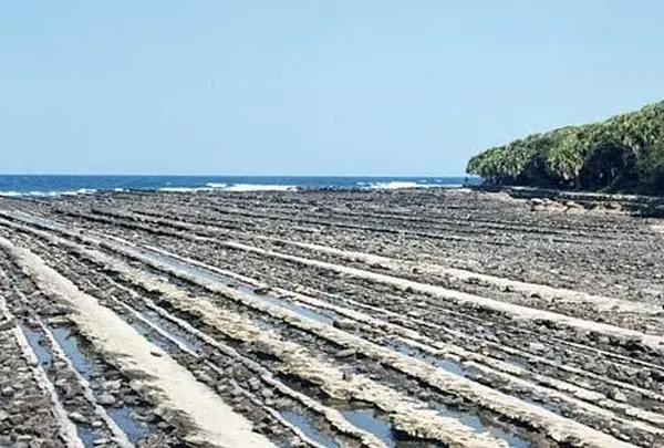 鬼の洗濯板
