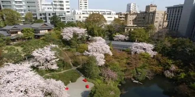 春だ花見だ白金だ!!大人向けの白金台散歩♪