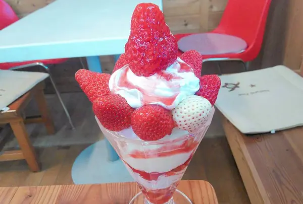 ストロベリーフィールドの写真・動画_image_267816