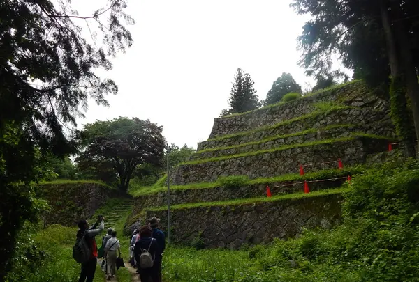 岩村城跡の写真・動画_image_144528