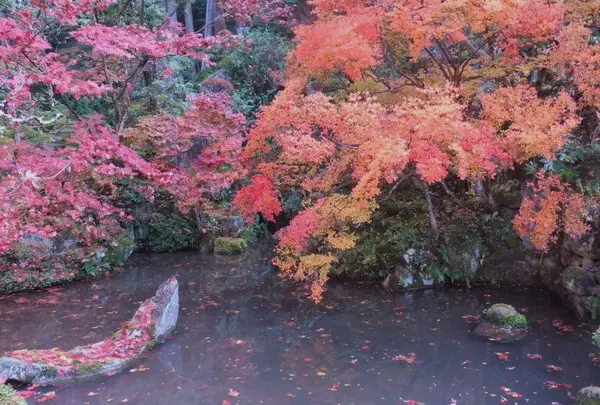 金剛輪寺