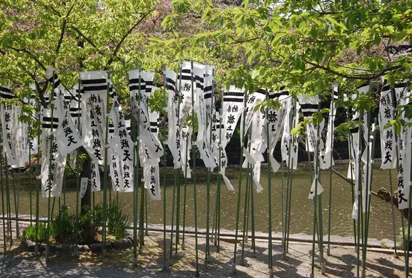 鶴岡八幡宮の写真・動画_image_24586