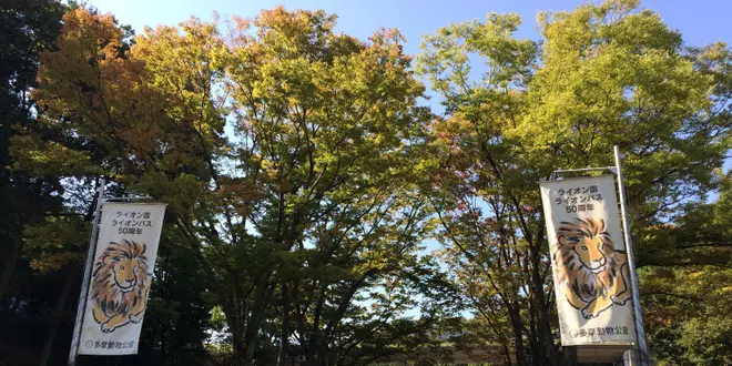 多摩動物公園と京王れーるランドを楽しんだら、カレーに舌鼓♪