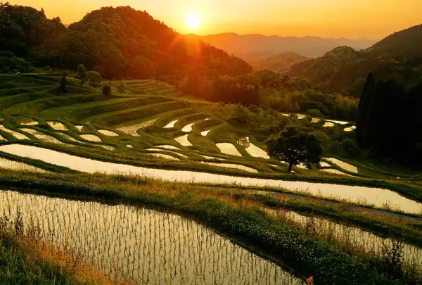 大山千枚田