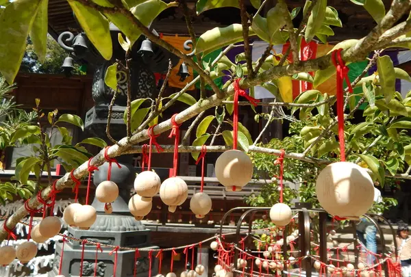 龍蓋寺（岡寺）の写真・動画_image_197442