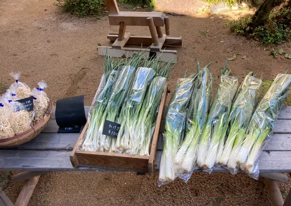 地元のお野菜が