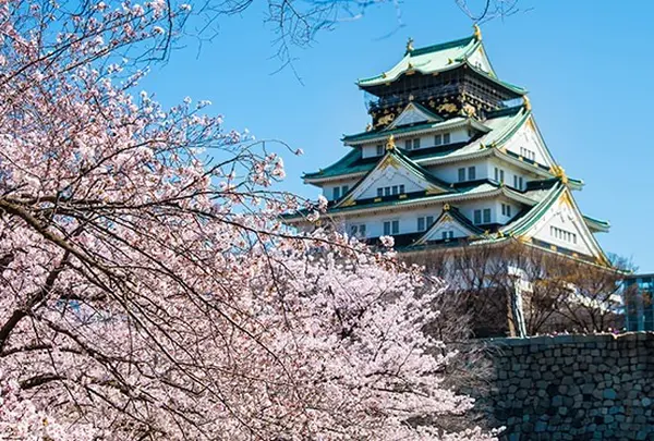 大阪城公園 桜