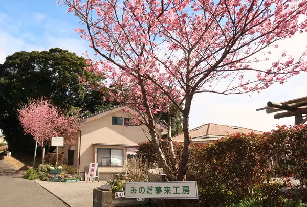 みのだ夢来(むら)工房の写真・動画_image_412846