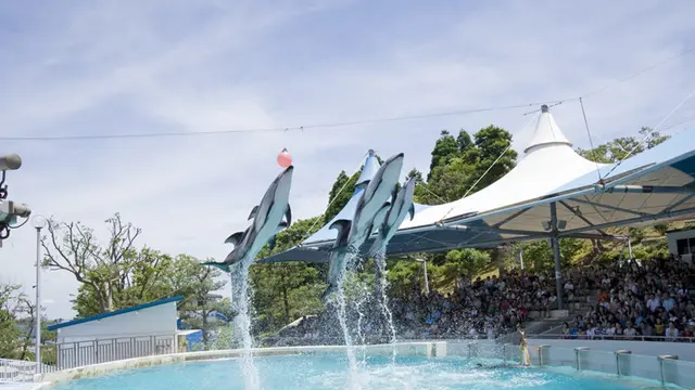 和倉温泉でのんびり&のとじまドライブ!