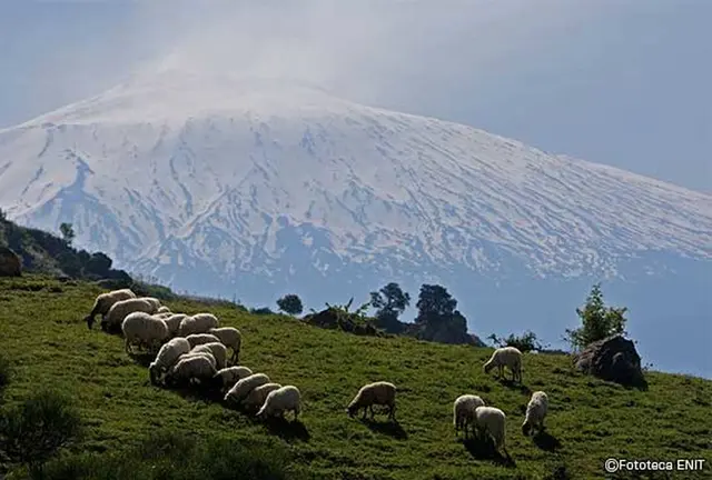 【イタリア世界遺産】大迫力のエトナ火山を間近で楽しもう