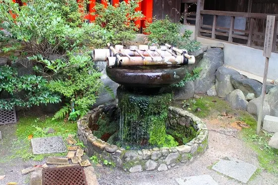 手水鉢にも鳩のモチーフが