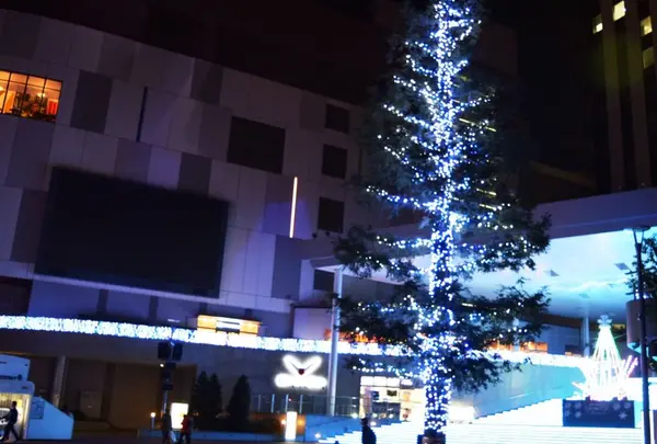 ダイバーシティ東京プラザ