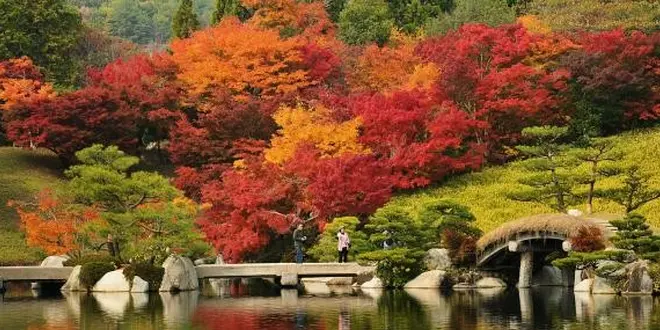 紅葉を楽しむ～三溪園～