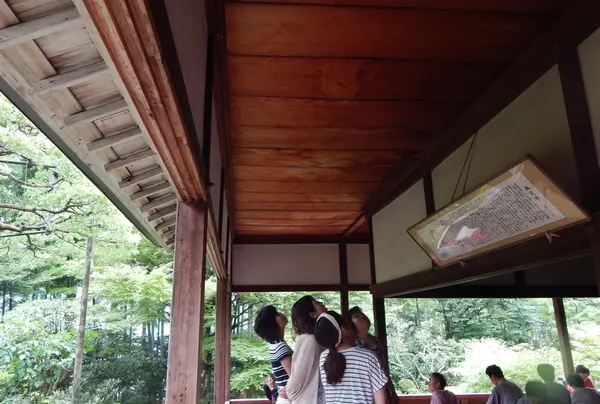 血天井