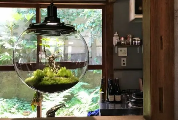 蒼々としての写真・動画_image_224840