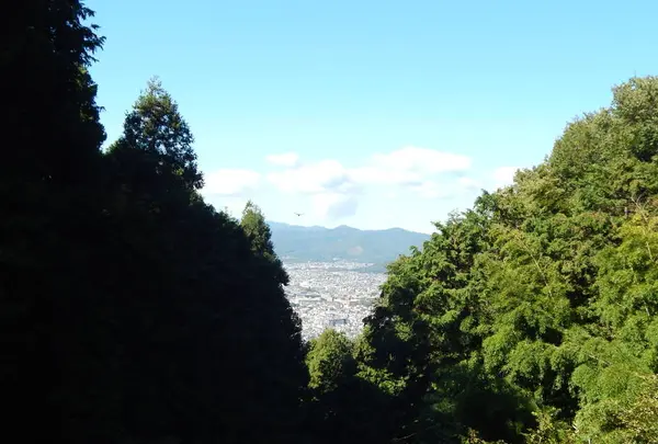大本山 狸谷山不動院の写真・動画_image_320731