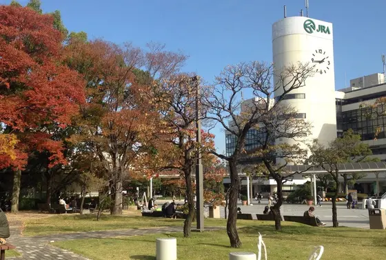 パドック近くの広場