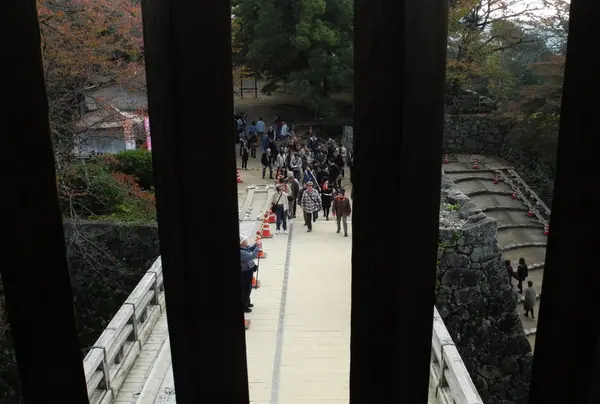ここでチェックしたのかな