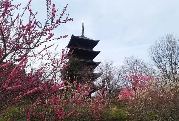 備中国分寺の写真・動画_image_124501