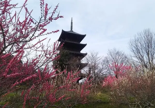 サイクリングロードから