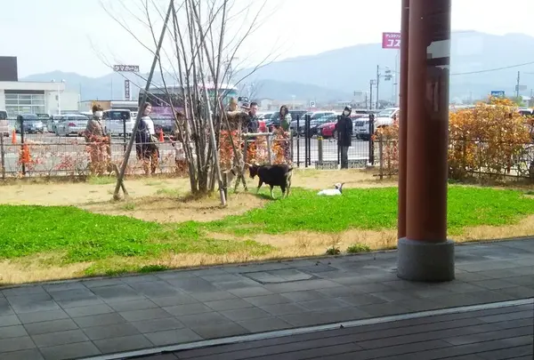 JAならけん まほろばキッチンの写真・動画_image_200388