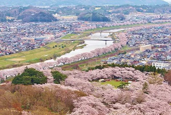 白石川堤一目千本桜