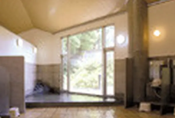 四季彩館の写真・動画_image_100229