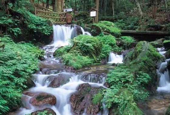 名水「瓜割の滝」