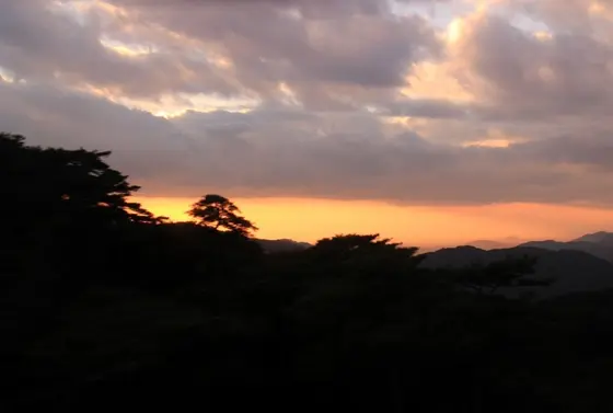 空から夕景