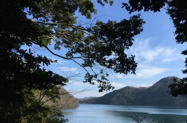 本殿から眺める景色