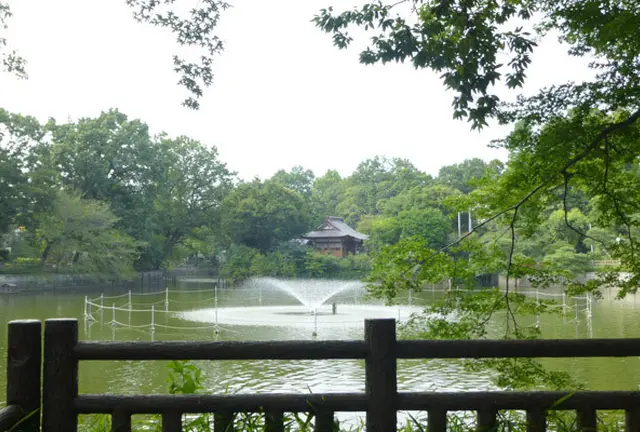 【学芸大学】肩の力を抜いて歩こう