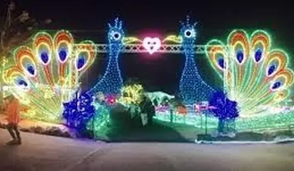 伊豆ぐらんぱる公園の写真・動画_image_102273