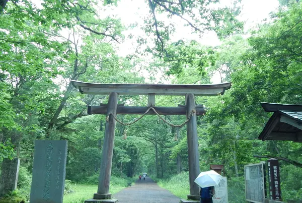 戸隠神社奥社の写真・動画_image_542226