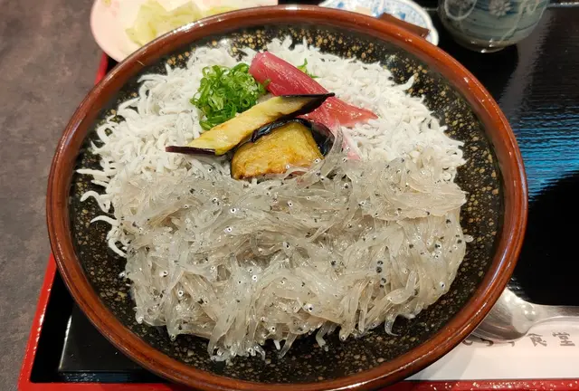 高知県編「バナナマンのせっかくグルメ」で登場したお店