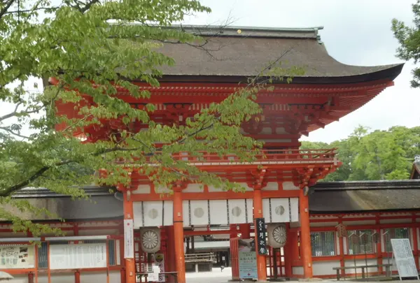 下鴨神社（賀茂御祖神社）の写真・動画_image_432031