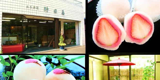 野田屋菓子舗