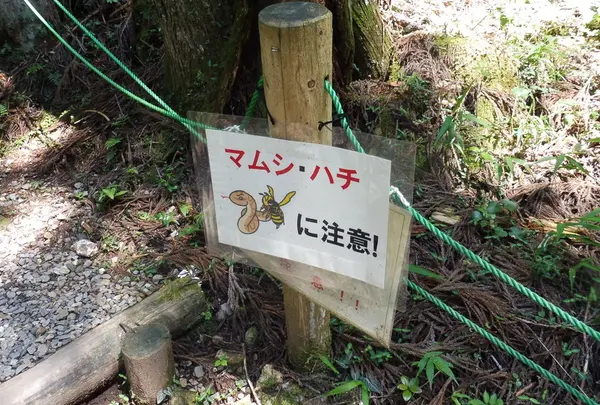 ギクッ…！マムシに注意…！