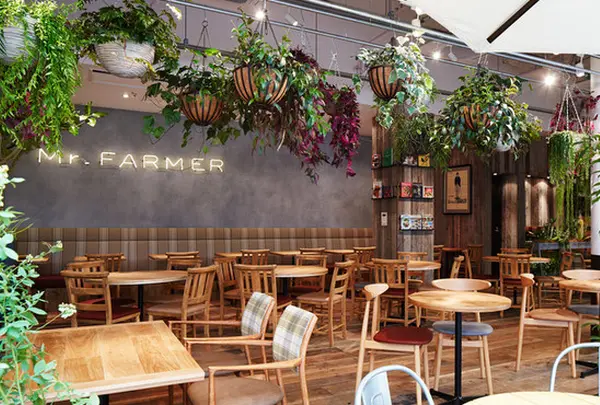 Mr．FARMER