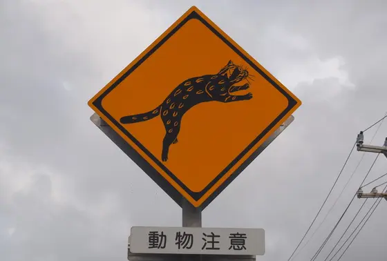道路標識
