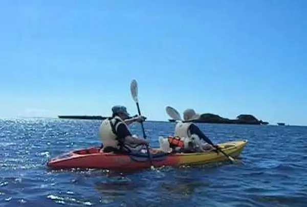 わんことカヌー